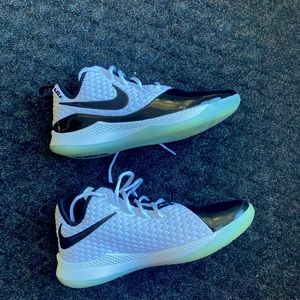 Lebron Witness 3 Premium Concord